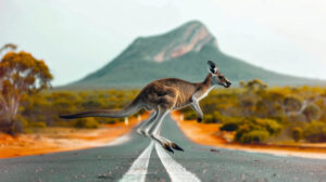 best destination for australia for student